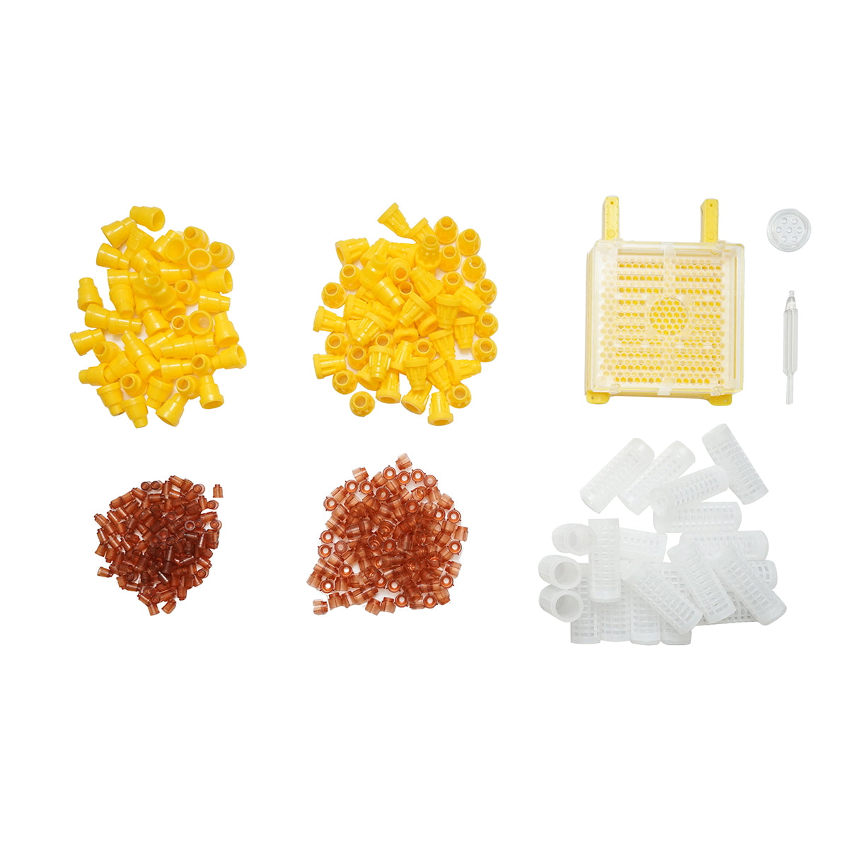 Complete growth kit for queens